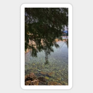 Stone sea surface in pristine clear water under a fir tree Sticker